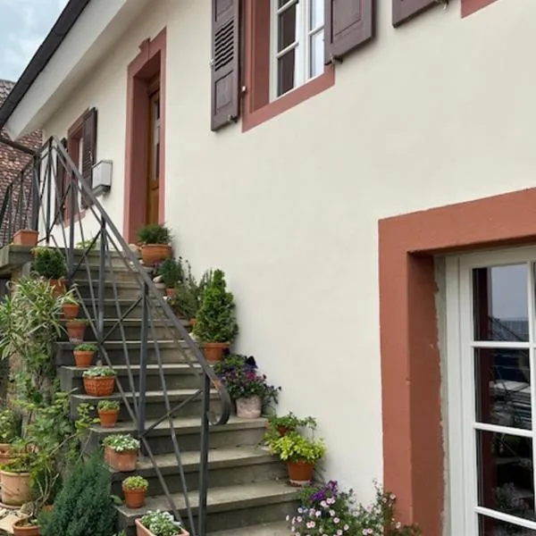 Kulturvogtei Freiburg-Tiengen, hotel ve Freiburgu