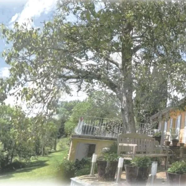 Maison et table d'hôtes du Vert Vallon, hotel v destinaci Theizé