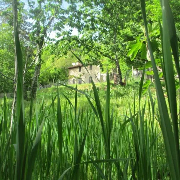 Casa Paladini, hotel v destinaci Castiglione di Garfagnana