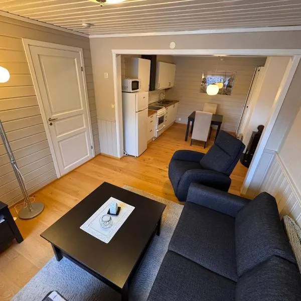 2 roms kjellerleilighet med separat soverom, hotel in Luster