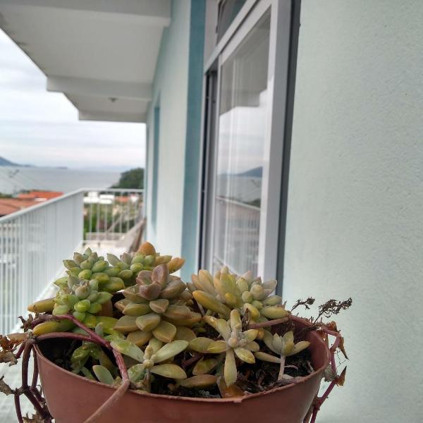Vista Boa - Apartamento de 2 Quartos na Servidão Boa Vista - Foto 5