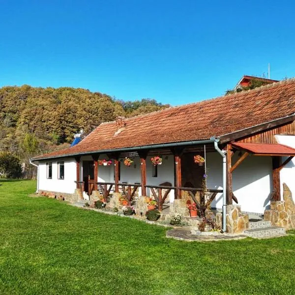 Casa de Peste Apă、Peşteanaのホテル