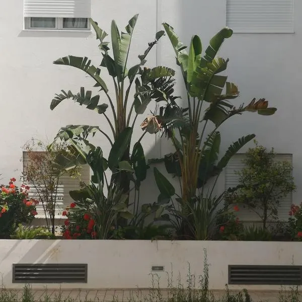 Very high standing apartment, hotel in Gammarth