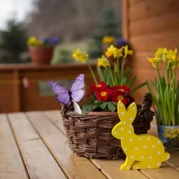 DOMKI Kolonia Leśna z sauną, hotel a Radków