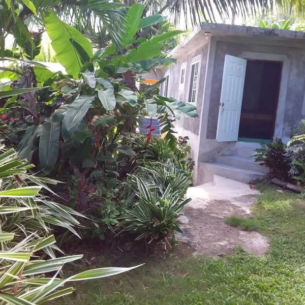 Port Antonio Brian's Beach House, hotel v destinaci Port Antonio