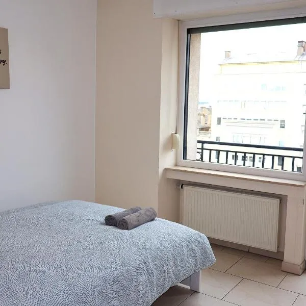 Comfort & Central Rooms, hotel v Lucembursku
