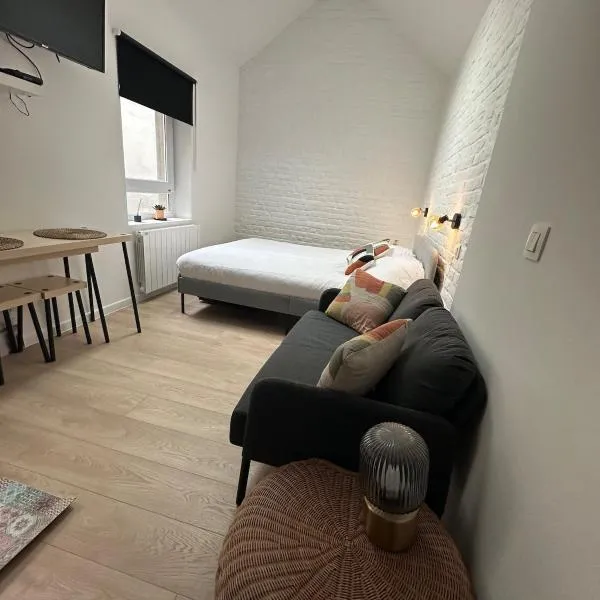 Ixelles - Cozy studio in middle of European District, hotel in Brussel