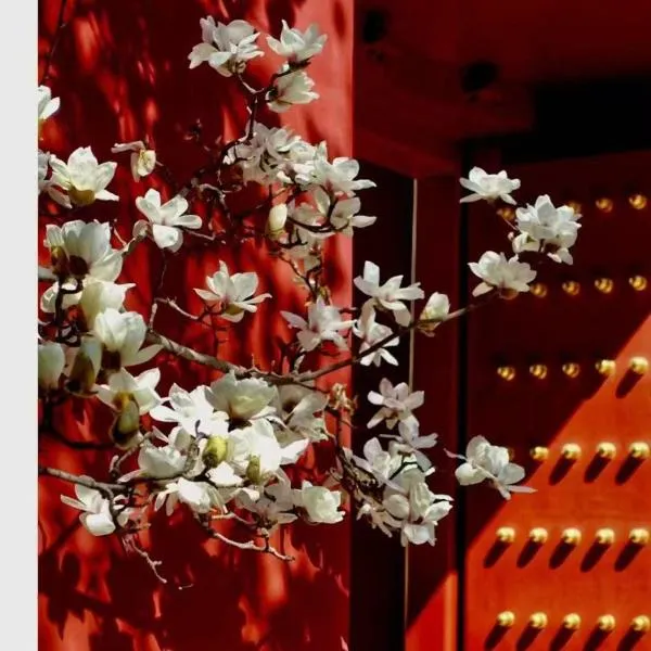 Hotel Cote Cour Deductive Beijing - Quadrangle close to Tiananmen Square & Forbidden City & Nanluoguxiang, Walk to Wangfujing, English speaking, Free WiFi, Free Laundry, Free Wonton & Noodles with Tour ticket service, Free selfies with ancient costume, ξενοδοχείο στο Πεκίνο