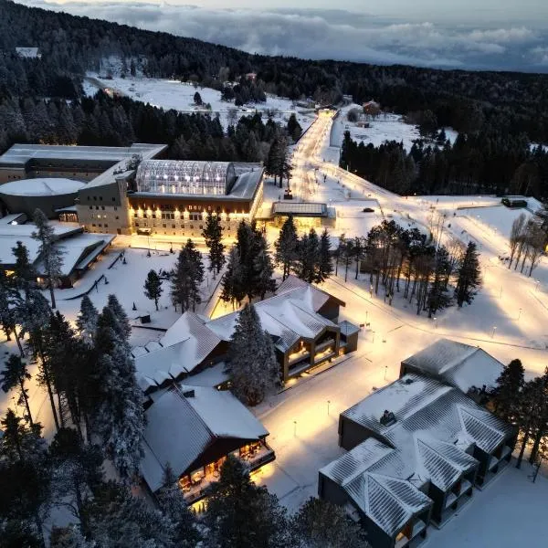 Swissotel Uludag Bursa, hotel din Bursa