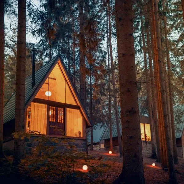 Hotel Kouty - Lesní Apartmány, hotel v destinaci Ledeč nad Sázavou