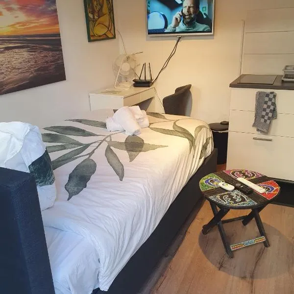 Cozy Garden House kijkduin Beach, hotel in The Hague