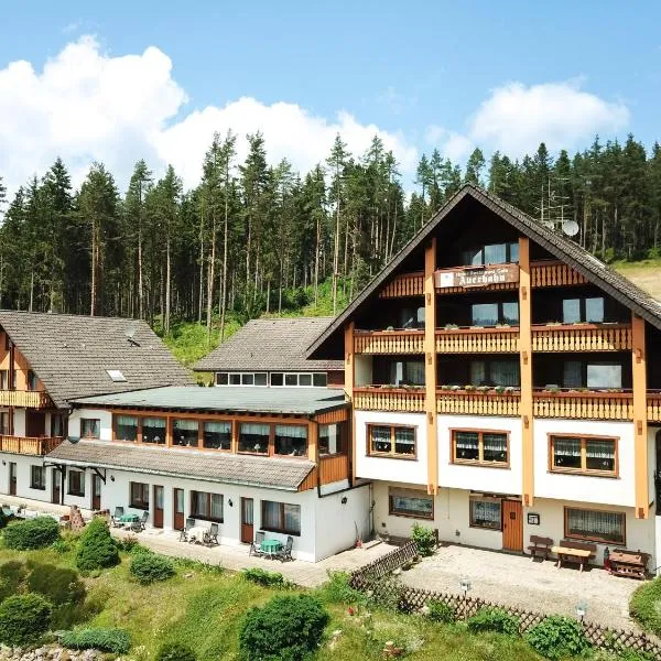 Auerhahn Bed and Breakfast - Black Forest - Waldhotel, hotel in Eisenbach