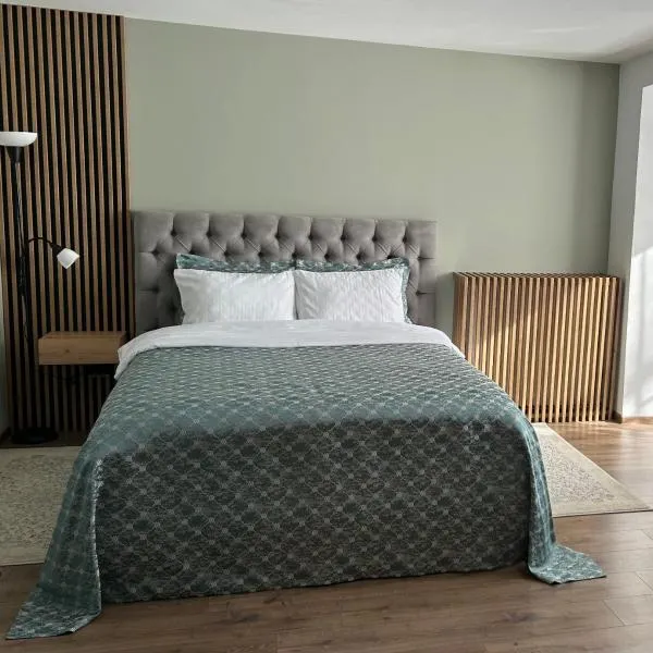 VYO Studio, hotel i Braşov