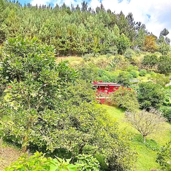 Tesorito House en las Montañas del Quindío, hotel v destinaci Filandia