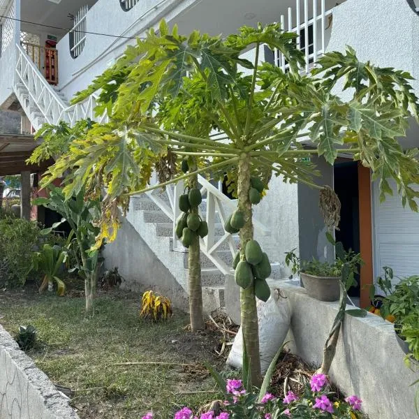 Posada ontimeview, hotel a Providencia