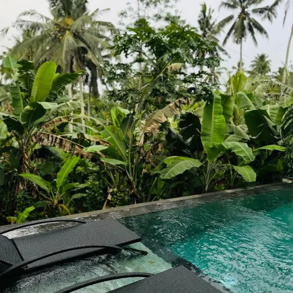 Deleni Villa Ubud、ウブドのホテル