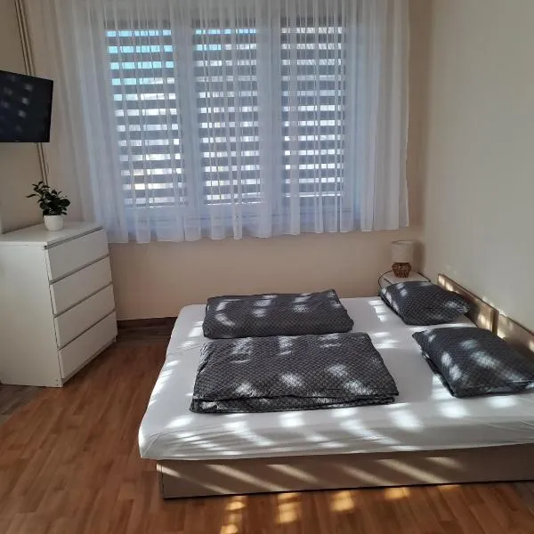 apartament, hotel in Skarżysko-Kamienna