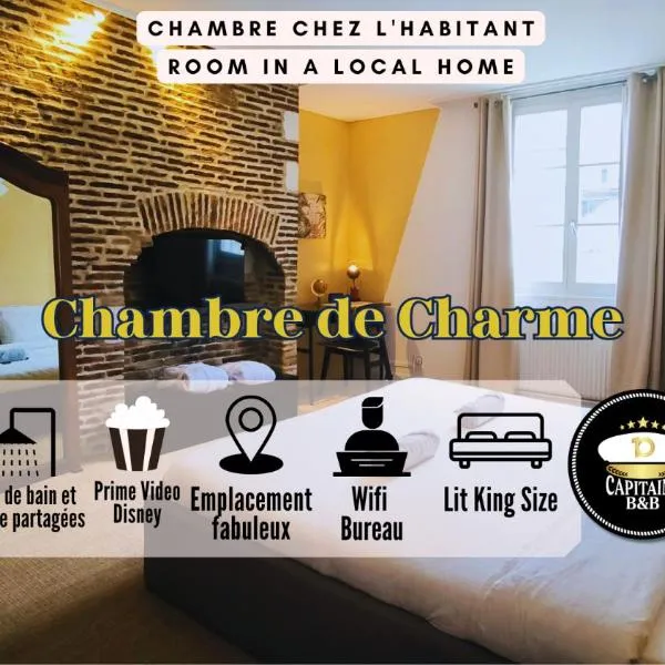 Chambre Privée Confort Charme Hypercentre Chez l'Habitant, hotel v destinaci Troyes