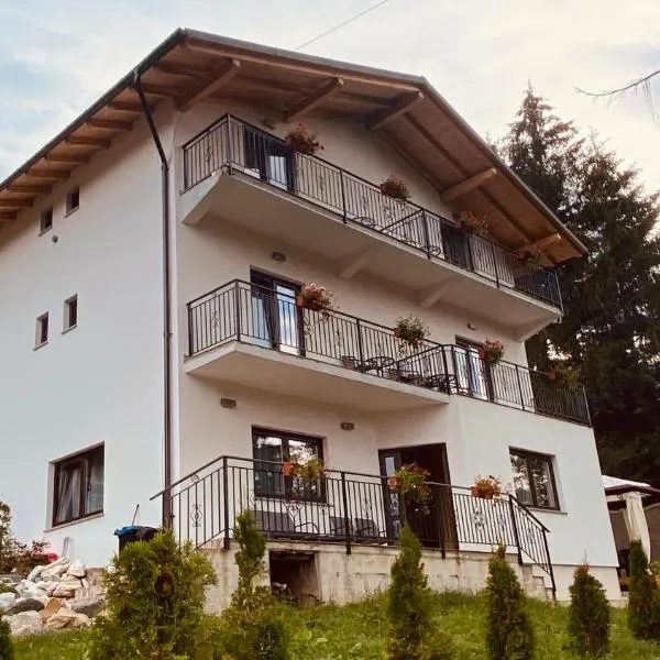 Casa dintre Brazi, hotel en Statiunea Borsa