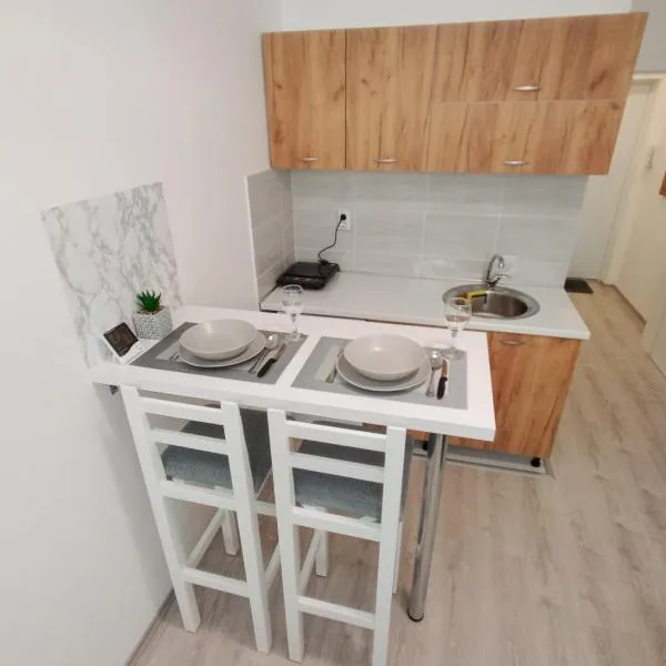 Apartman-studio Sokobanja, hotel in Soko Banja