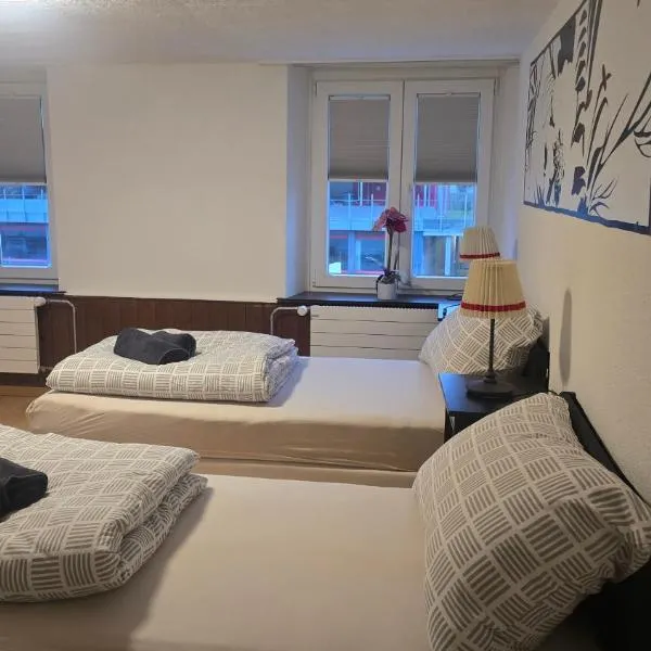 Muhusin Apartments Trimbach, hotell sihtkohas Trimbach