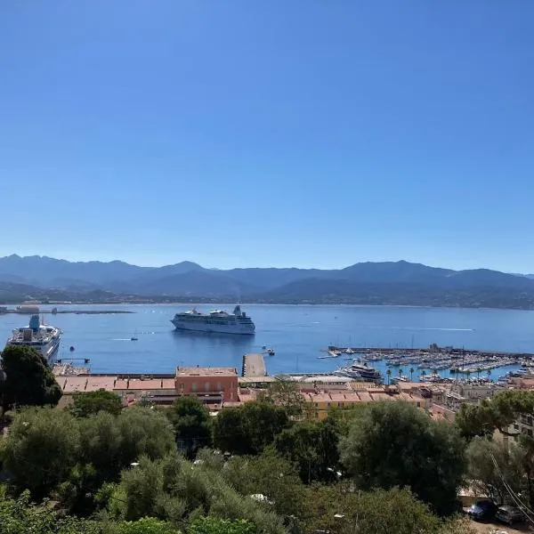 Appartement 2 chambres centre ville d Ajaccio avec magnifique vue mer, hotel v Ajacciu