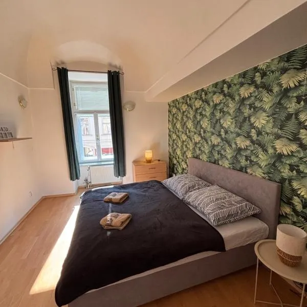 DH Duomo VIII Family apartment, hotel en Košice