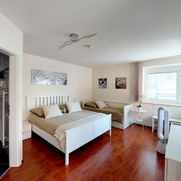 TheLakeHouse Do you prefer a double 25m2 room with a private bathroom OR a full 70m2 Appartment with a triple room bathroom livingroom kitchen and terrasse, hotel v destinaci Pörtschach am Wörthersee
