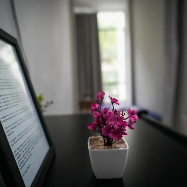 Ap Ilha tour - Flamengo