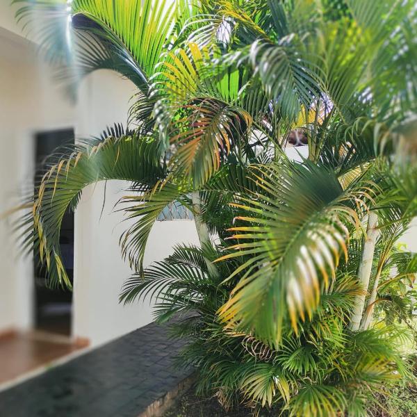 Quarto privativo no Bairro Santa Mônica - Foto 5