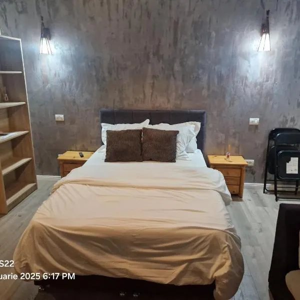 Casa Rahova, hotel in Brăila