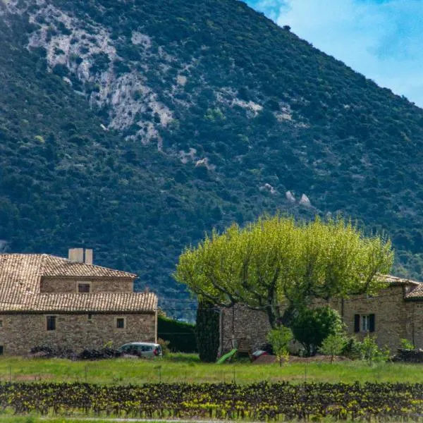 Gîte Mas de Boulègue, hotel en Saint-Pantaléon-les-Vignes