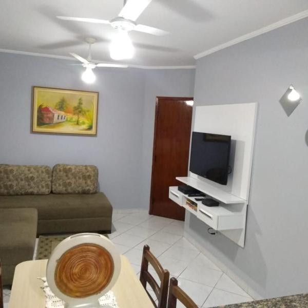 Apartamento Vila Guilhermina - Foto 4