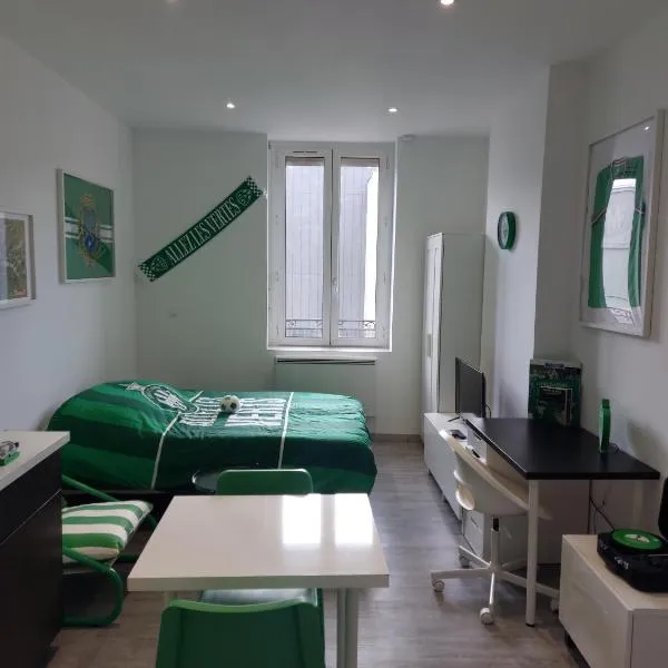 Studio cosy -ALLEZ LES VERTS-, hotel v destinaci Saint-Étienne