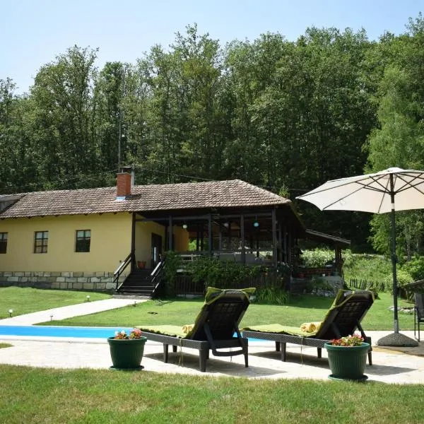 Pansion Savinac, hotel v destinaci Takovo