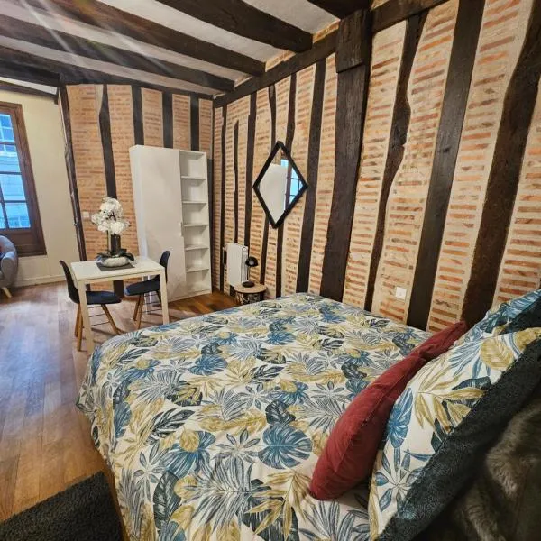 Petit havre de paix - quartier historique, hotel a Tours