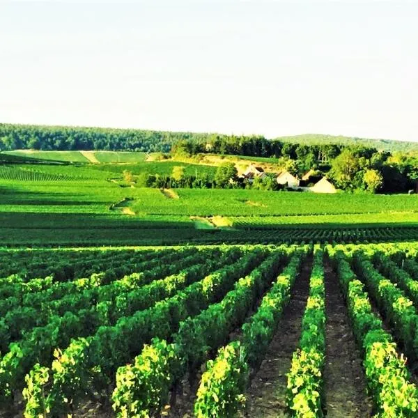 Domaine Pont Juillet โรงแรมในFontaines