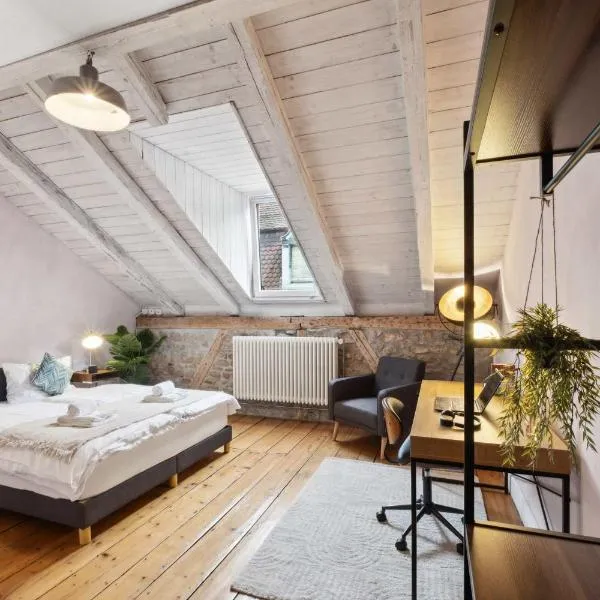 The R Loft - Cosy Hostel Suite, Roof Top, Communal Kitchen and Bathroom, hotel v destinaci Olten