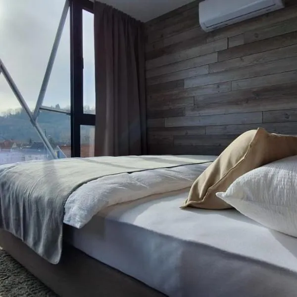Keller Apartment - DQ Tower, hotel in Sulz am Neckar
