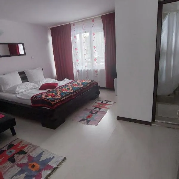 Casa Nico Nelu Duplex, hotel ad Arieşeni