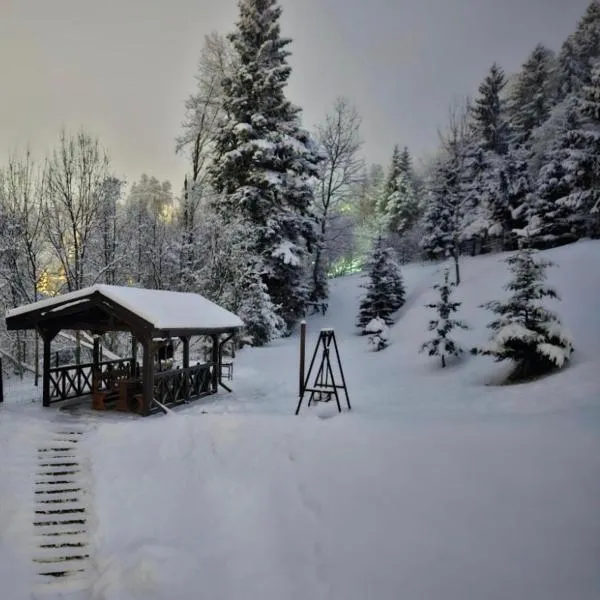 Ideal Predeal, hotel in Predeal