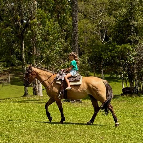 WoodStone Hotel Fazenda - Foto 4