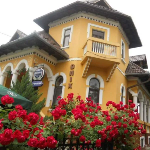 Pensiunea Onix, hotel in Făgăraş