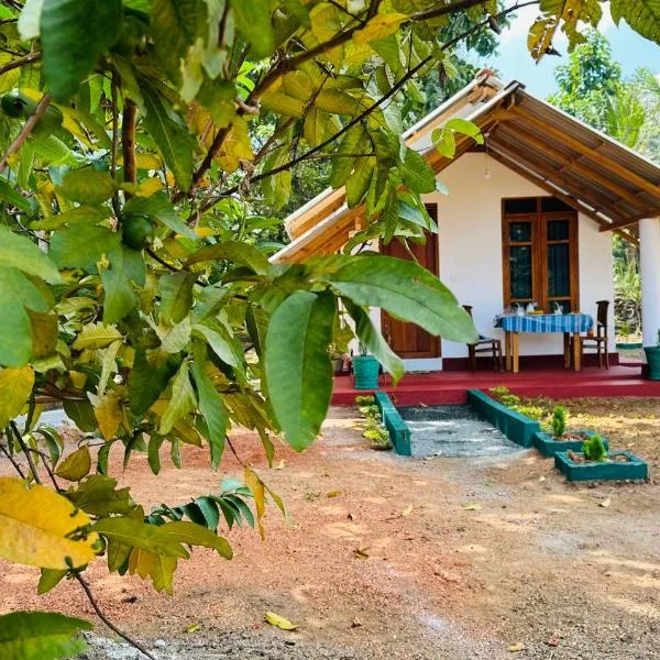 Little Haven Cottage, hotel v destinaci Sigiriya