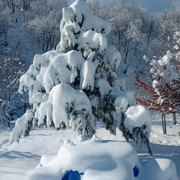 Istisu Valley Spa, hotel a İsmayıllı