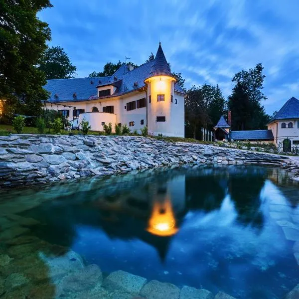 Boutique hotel & Wellness Spitzerova vila Eliška, hotel v destinaci Janovice
