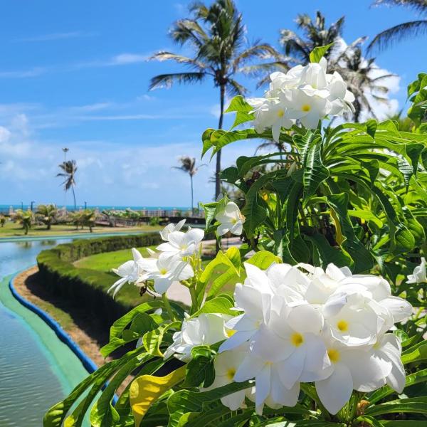 Flat Aquaville perto do Beachpark com 3 Suites - Foto 3