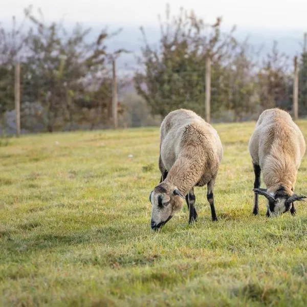 Tente à la Ferme, hótel í Fiennes