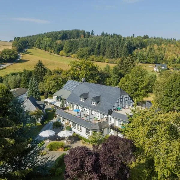 Landhof Grewen Mühle, hotel in Meschede