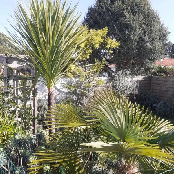 Villa Les Palmiers, hotel in Saint-Jean-de-Monts